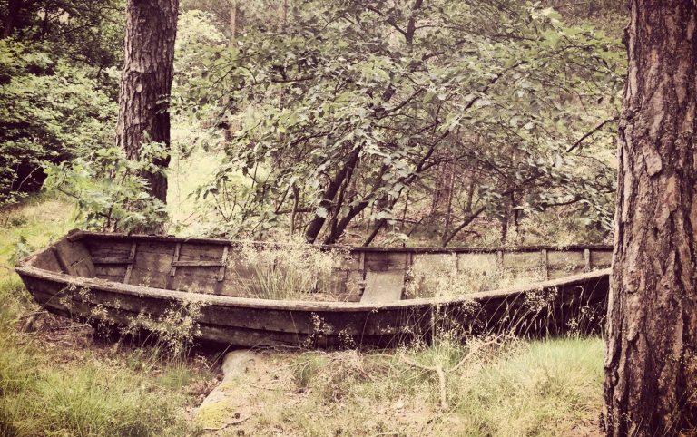 Åldrande En gammal båt delvis täckt av grönska i en skogig omgivning. (R) Maria Jällebo