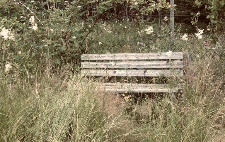 Stress och ångest Sittbänk i högt gräs. (R) Maria Jällebo